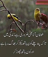 طوفان آنا بھی ضروری ہے تا کہ پتا چلے کون بھاگ رہا ہے